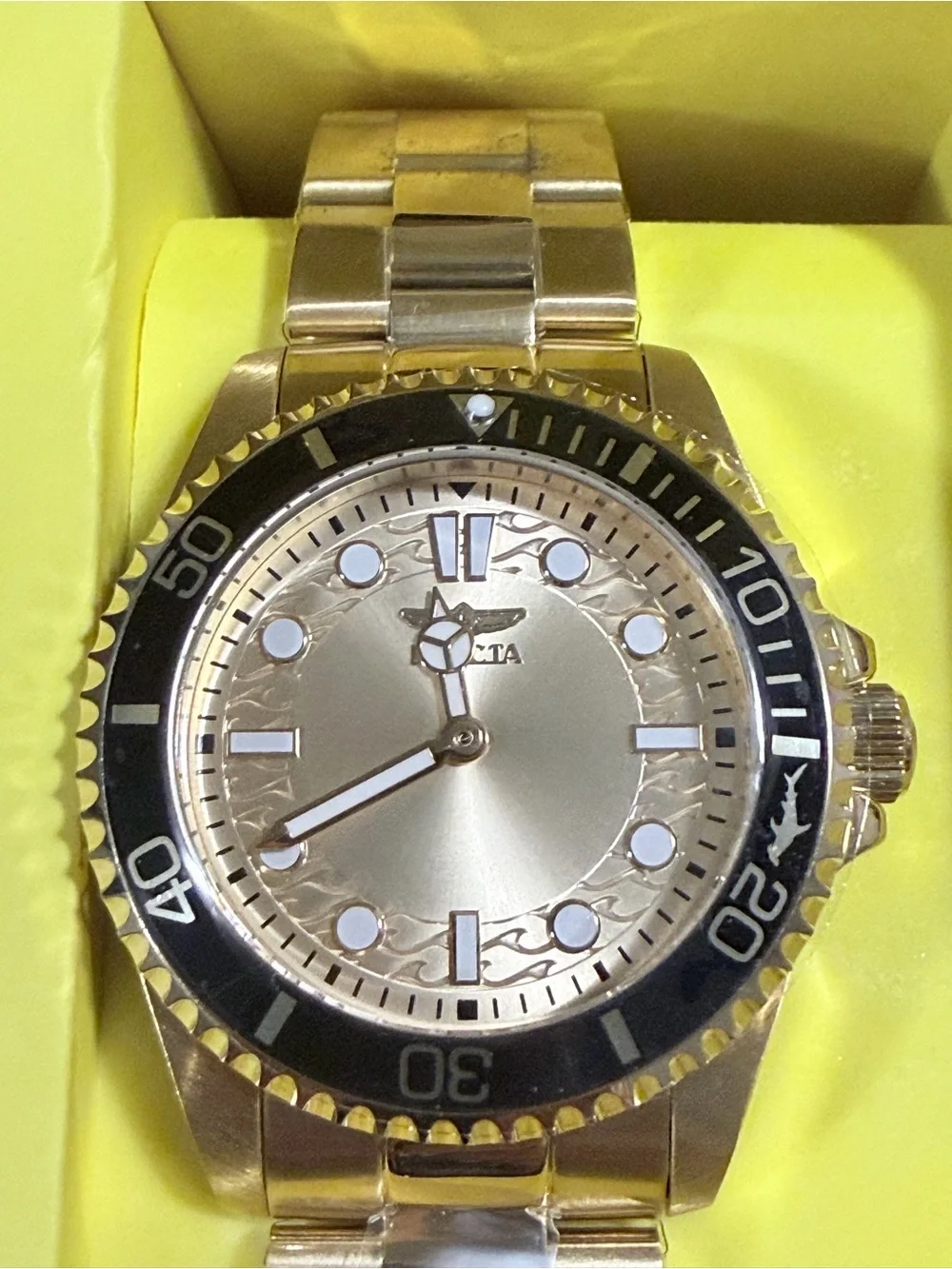 The Invicta Pro Diver 